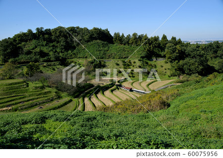 Rice terrace in Chihaya-okasaki village Rice terrace in Chihaya-okasaki village 60075956