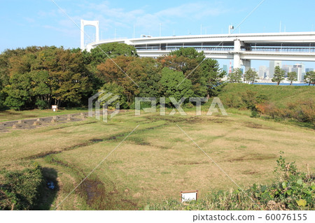 Metropolitan Daiba Park Metropolitan Daiba Park 60076155
