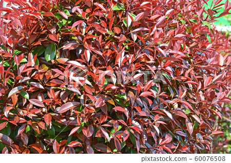 Kaname memo (required) Kaname memo (required) 60076508