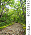 Mountain path green 60077680