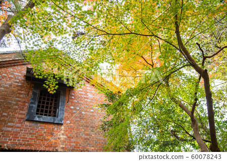 A public wall in the autumn of the Moroto garden in Kuwana, Mie Prefecture. A public wall in the autumn of the Moroto garden in Kuwana, Mie Prefecture. 60078243