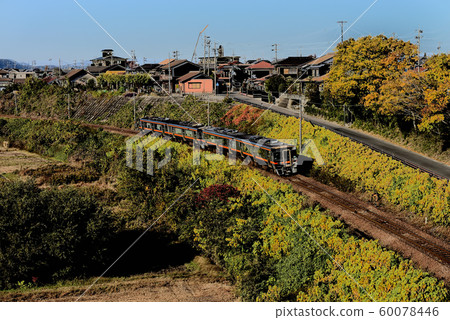 當地火車火車圖像 60078446