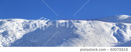 Off-piste slope with little fir after snowfall at Off-piste slope with little fir after snowfall at 60078828