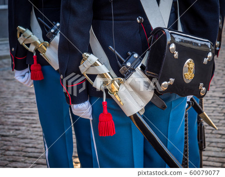 Royal guards at Amalienborg Palace, Copenhagen, 60079077