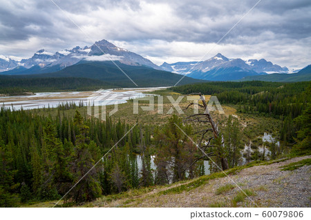 Saskatchewan River, Banff National Park, Alberta, 60079806