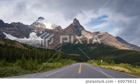 Icefield Parkway, Jasper National Park, Alberta, 60079811
