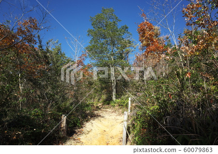 Autumn leaves of Okayama mountain in Japan Autumn leaves of Okayama mountain in Japan 60079863