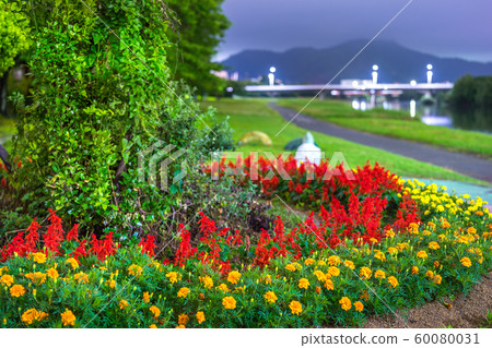 夢見河，花壇在河床上（兵庫縣姬路市東新町） 60080031