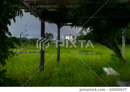 午夜（在兵庫縣姬路市東新町）沿著湯前河散步 60080037