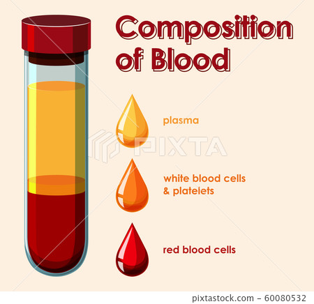 Diagram showing composition of blood-插圖素材 [60080532] - PIXTA圖庫