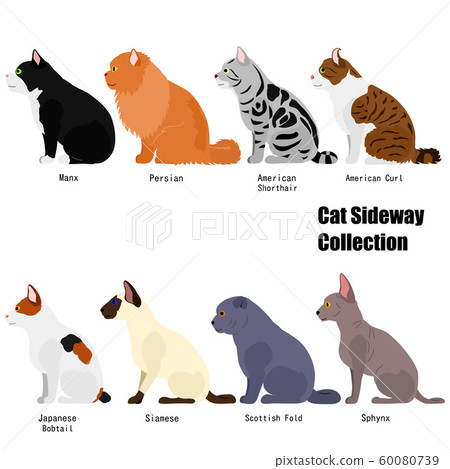 Sideways sitting cat set 60080739