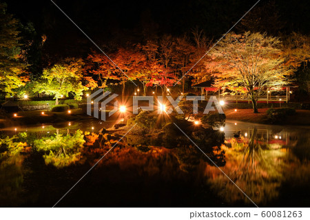 Light up of autumn leaves Light up of autumn leaves 60081263