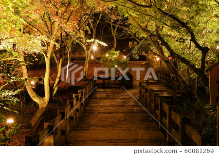 Light up of autumn leaves Light up of autumn leaves 60081269