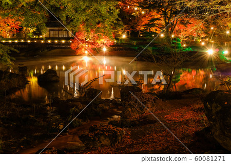 Light up of autumn leaves Light up of autumn leaves 60081271
