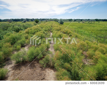 Rural summer landscape. Rural summer landscape. 60081699