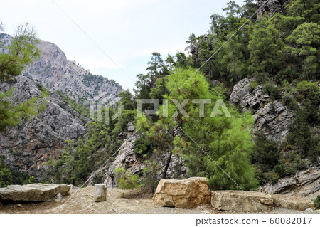 Recreation area with large flat stones for sitting in gorge among mountains and green pine forest. Selective focus. 60082017