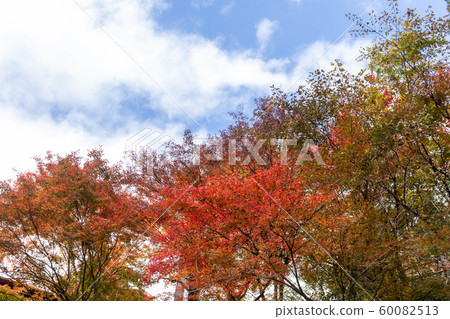 代代木公園 代代木公園 60082513