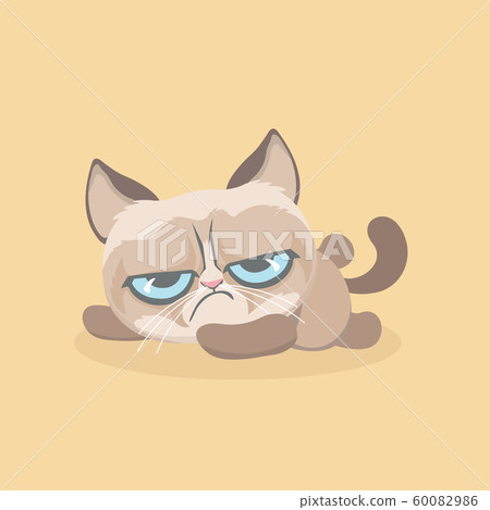 Cute grumpy cat. Vector Illustration.. - Stock Illustration [60082986 ...