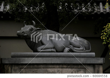 Osaka Tenmangu Shrine Mikami Beef Beef Festival Osaka Tenmangu Shrine Mikami Beef Beef Festival 60084558