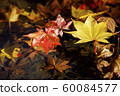 Autumn accessories 60084577