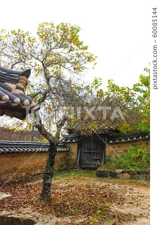 Rural scenery, old yard, house with tile and tree, yard 60085144