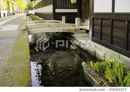 Tsuwano, Tonomachi-dori, Yogokan Yorokan, Tsuwano-cho, Kanoashi-gun, Shimane Tsuwano, Tonomachi-dori, Yogokan Yorokan, Tsuwano-cho, Kanoashi-gun, Shimane 60085927