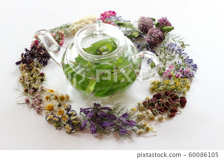 Dried flower Dried flower 60086105