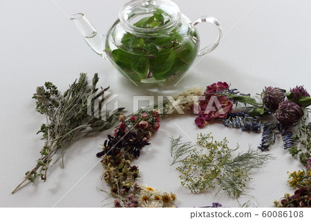 Dried flower  60086108