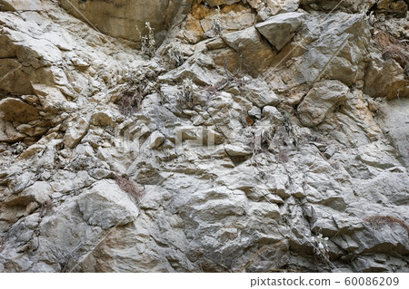 Part of layered rock formation with uneven surface and small plants in cracks. Natural background or wallpaper. 60086209
