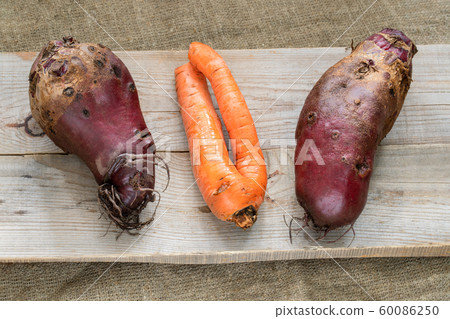 Three non-standard ugly vegetables: two beets and one carrot are lying on old grey wooden planks on burlap. Top view. Three non-standard ugly vegetables: two beets and one carrot are lying on old grey wooden planks on burlap. Top view. 60086250