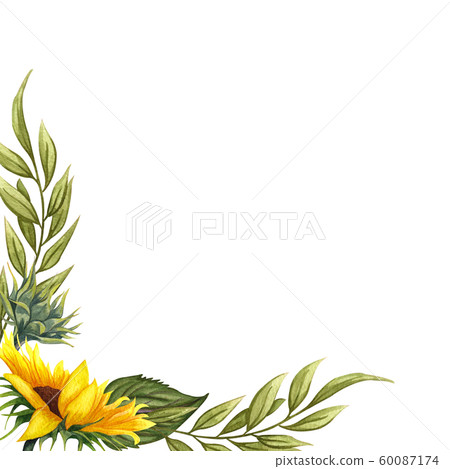 sunflower, flower, leaf 60087174