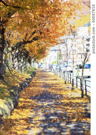 Autumn leaves road 60087658