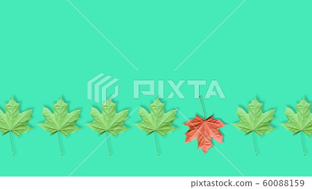 Unique red leaf among many green leaves isolated on mint background Unique red leaf among many green leaves isolated on mint background 60088159