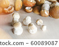 rows of porcini mushrooms in the studio 60089087