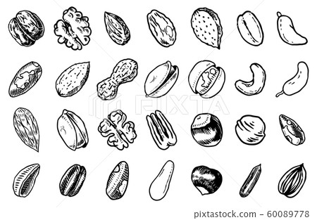 Nuts mix background. Seeds and granule, corn and grain. Hazelnut, Walnut, Almonds. Food concept. Top Nuts mix background. Seeds and granule, corn and grain. Hazelnut, Walnut, Almonds. Food concept. Top 60089778