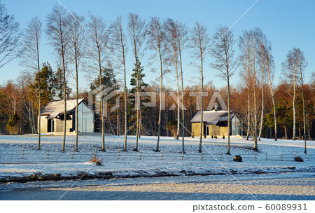 Summer houses on the island on a windy winter day 60089931