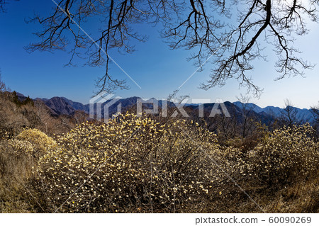 Nakdong Maru Ridge Line seen from Mitsuta Group of Mt. Gongen, Nishitanzawa 60090269