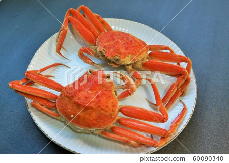 Kobako crab crab crab material background crab Kanazawa city Ishikawa prefecture Kobako crab crab crab material background crab Kanazawa city Ishikawa prefecture 60090340