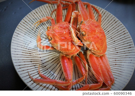 Kobako crab crab crab material background crab Kanazawa city Ishikawa prefecture Kobako crab crab crab material background crab Kanazawa city Ishikawa prefecture 60090346