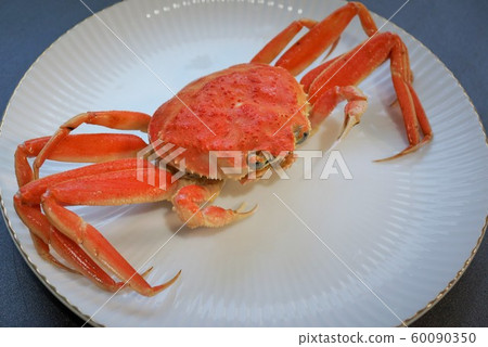 Kobako crab crab crab material background crab Kanazawa city Ishikawa prefecture Kobako crab crab crab material background crab Kanazawa city Ishikawa prefecture 60090350