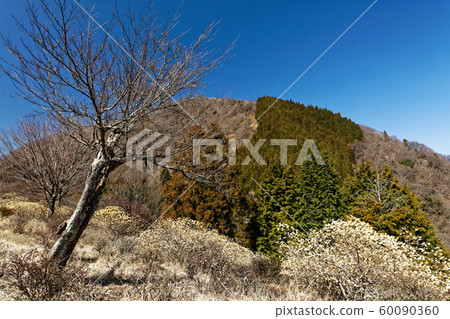 Nishitanzawa, Gongensan ridge line seen from Mitsumata group fabric 60090360