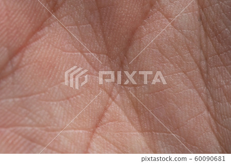 Photo of human's palm with wrinkles, closeup photo 60090681