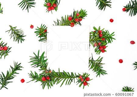 Fir branches with red berries background and note. 60091067