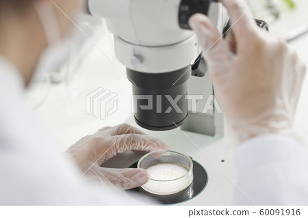 顯微鏡 顯微鏡 60091916