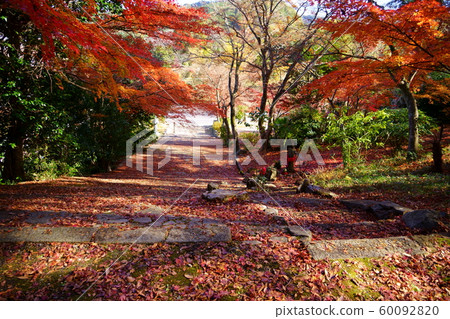 深秋的方法,昭和寺8 深秋的方法,昭和寺8 60092820