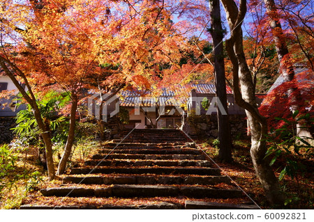 秋末的陽光,昭和寺3 秋末的陽光,昭和寺3 60092821