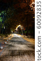 Autumn road at night with autumn leaves 60092835