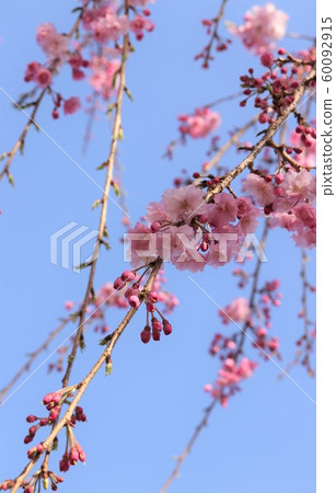 Shadesque and blue sky Shadesque and blue sky 60092915