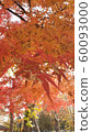 Red leaves 60093000