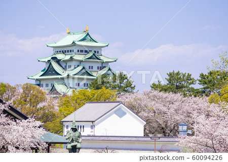 名古屋城堡和櫻花 60094226